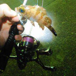 メバリングのちに、アジング！